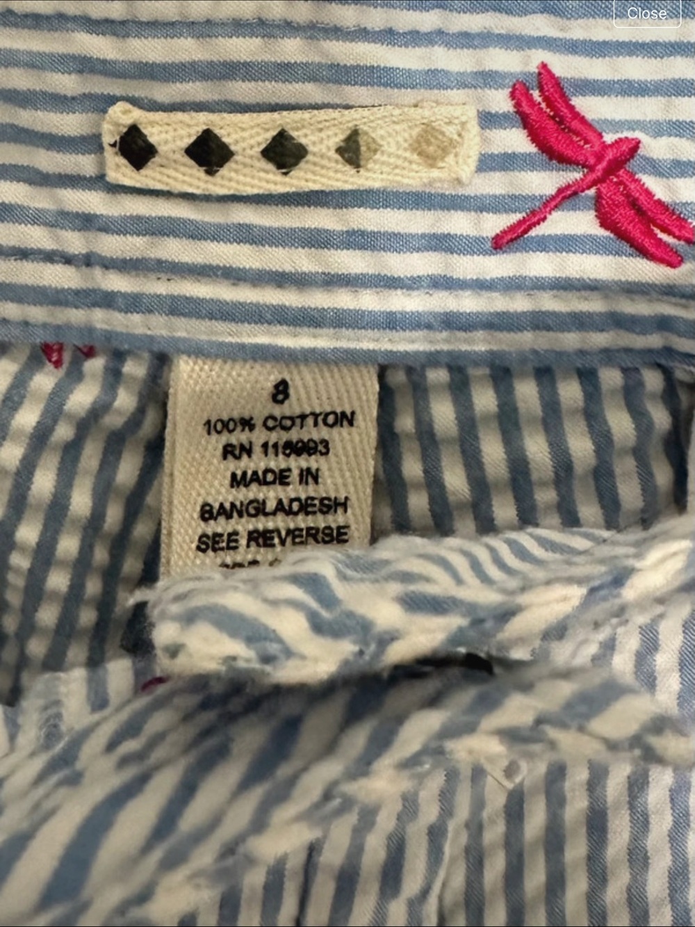 Blue and White Striped Seersucker Shorts with Pink Dragonfly Embroidery - Picture 5 of 5